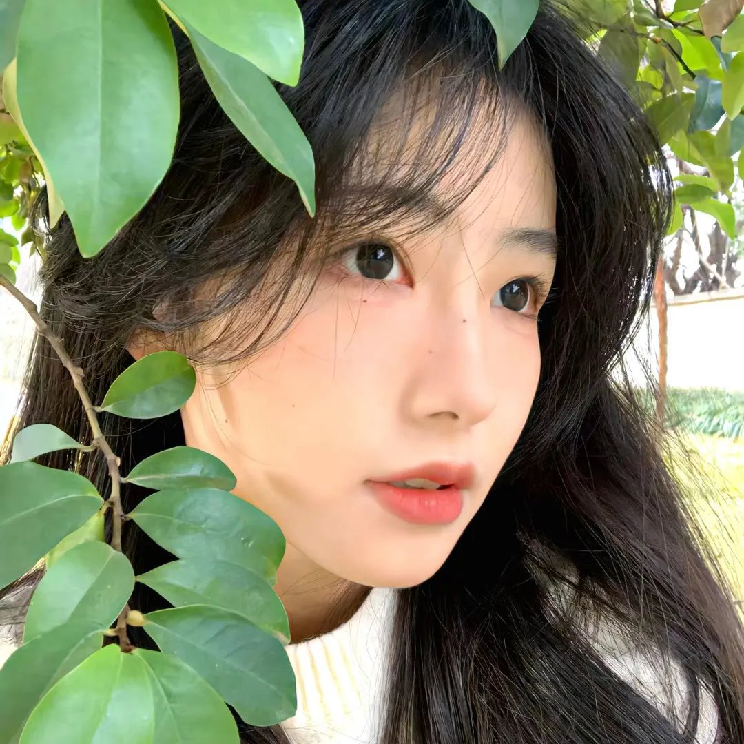 熊族之旅